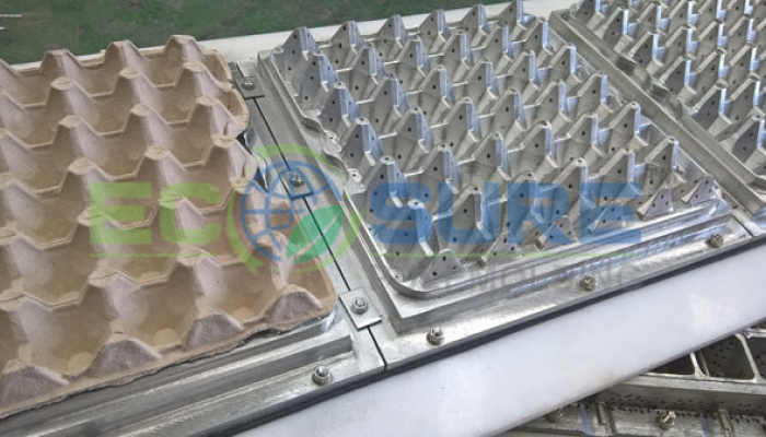Ecosure pulpmolding Technologies Limited-Egg tray mold