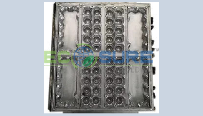 Ecosure pulpmolding Technologies Limited-Egg box mold